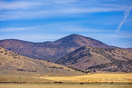 Landscape_nature_Utah_Idaho_Nevada_Arizona_USA_autumn_scenery_Photography_056_Canon_EOS_5D_Mark_IV.JPG