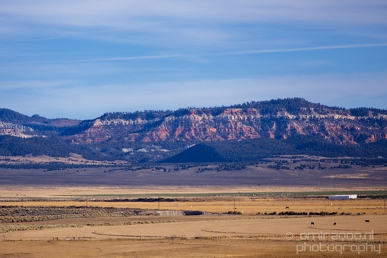 Landscape_nature_Utah_Idaho_Nevada_Arizona_USA_autumn_scenery_Photography_083_Canon_EOS_5D_Mark_IV.JPG