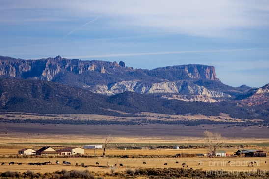 Landscape_nature_Utah_Idaho_Nevada_Arizona_USA_autumn_scenery_Photography_086_Canon_EOS_5D_Mark_IV.JPG