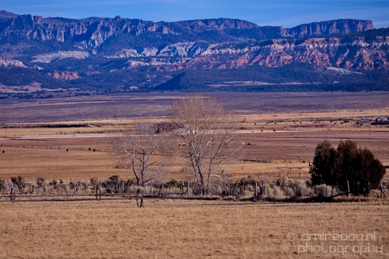 Landscape_nature_Utah_Idaho_Nevada_Arizona_USA_autumn_scenery_Photography_089_Canon_EOS_5D_Mark_IV.JPG