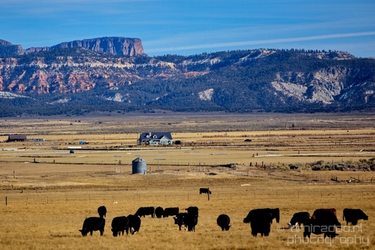 Landscape_nature_Utah_Idaho_Nevada_Arizona_USA_autumn_scenery_Photography_090_Canon_EOS_5D_Mark_IV.JPG