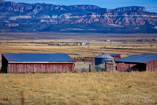Landscape_nature_Utah_Idaho_Nevada_Arizona_USA_autumn_scenery_Photography_091_Canon_EOS_5D_Mark_IV.JPG