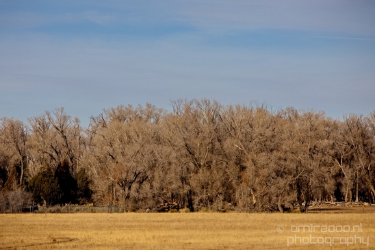 Landscape_nature_Utah_Idaho_Nevada_Arizona_USA_autumn_scenery_Photography_095_Canon_EOS_5D_Mark_IV.JPG