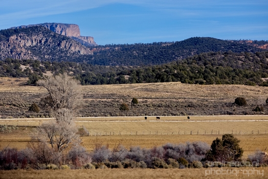 Landscape_nature_Utah_Idaho_Nevada_Arizona_USA_autumn_scenery_Photography_098_Canon_EOS_5D_Mark_IV.JPG