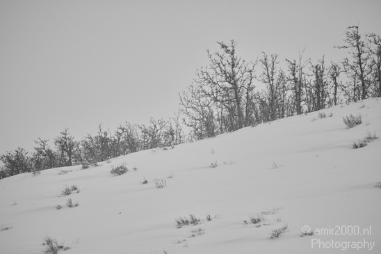Landscape_nature_Utah_Idaho_Nevada_USA_winter_scenery_Photography_003_Canon_EOS_5D_Mark_IV.JPG
