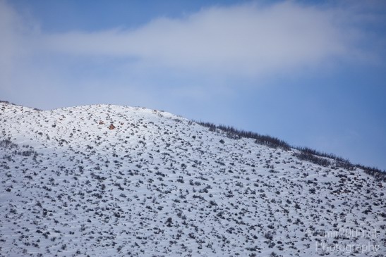 Landscape_nature_Utah_Idaho_Nevada_USA_winter_scenery_Photography_005_Canon_EOS_5D_Mark_IV.JPG