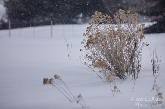 Landscape_nature_Utah_Idaho_Nevada_USA_winter_scenery_Photography_010_Canon_EOS_5D_Mark_IV.JPG