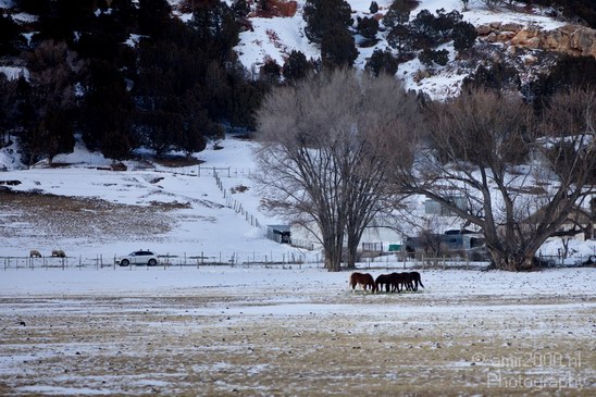 Landscape_nature_Utah_Idaho_Nevada_USA_winter_scenery_Photography_031_Canon_EOS_5D_Mark_IV.JPG