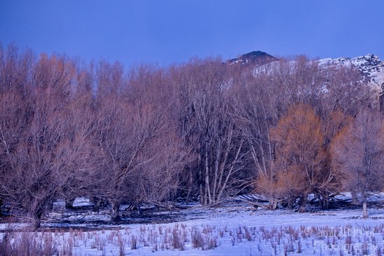 Landscape_nature_Utah_Idaho_Nevada_USA_winter_scenery_Photography_033_Canon_EOS_5D_Mark_IV.JPG
