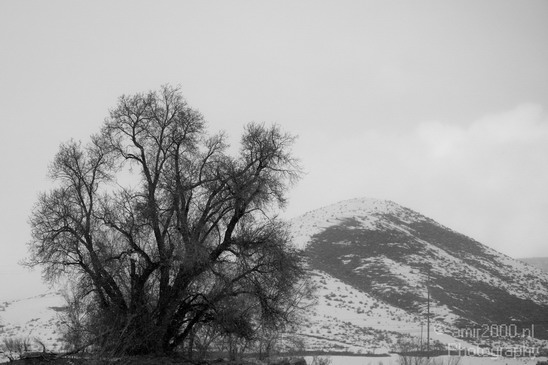 Landscape_nature_Utah_Idaho_Nevada_USA_winter_scenery_Photography_045_Canon_EOS_5D_Mark_IV.JPG