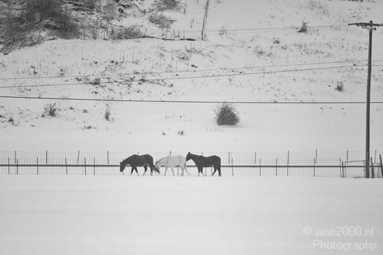 Landscape_nature_Utah_Idaho_Nevada_USA_winter_scenery_Photography_052_Canon_EOS_5D_Mark_IV.JPG