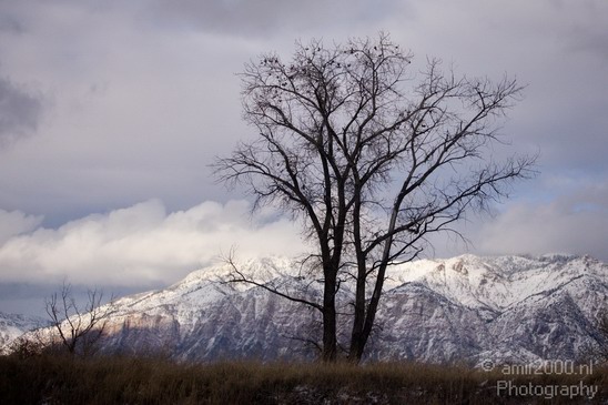 Landscape_nature_Utah_Idaho_Nevada_USA_winter_scenery_Photography_055_Canon_EOS_5D_Mark_IV.JPG