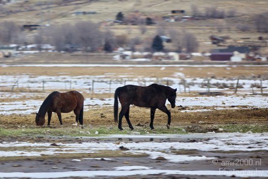 Landscape_nature_Utah_Idaho_Nevada_USA_winter_scenery_Photography_068_Canon_EOS_5D_Mark_IV.JPG
