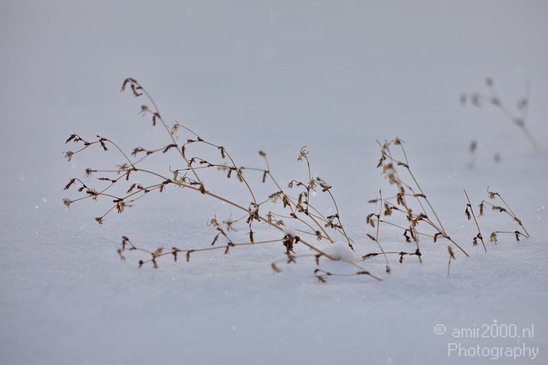 Landscape_nature_Utah_Idaho_Nevada_USA_winter_scenery_Photography_087_Canon_EOS_5D_Mark_IV.JPG