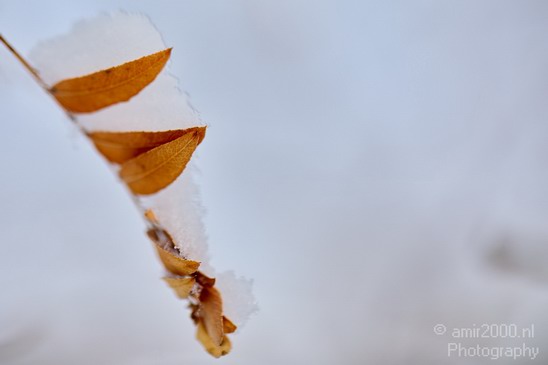 Landscape_nature_Utah_Idaho_Nevada_USA_winter_scenery_Photography_088_Canon_EOS_5D_Mark_IV.JPG