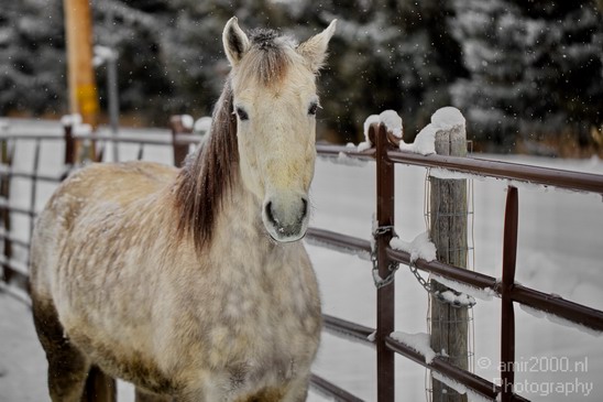 Landscape_nature_Utah_Idaho_Nevada_USA_winter_scenery_Photography_094_Canon_EOS_5D_Mark_IV.JPG