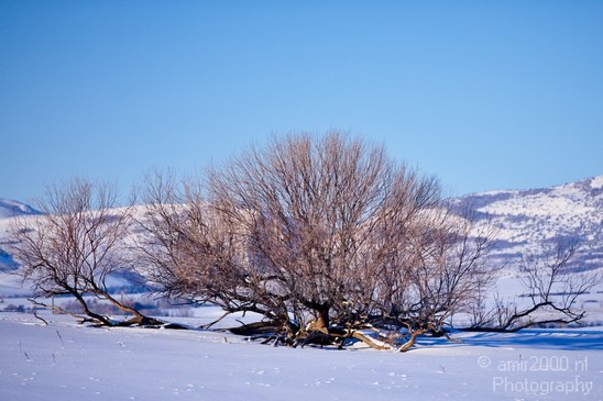 Landscape_nature_Utah_Idaho_Nevada_USA_winter_scenery_Photography_151_Canon_EOS_5D_Mark_IV.JPG