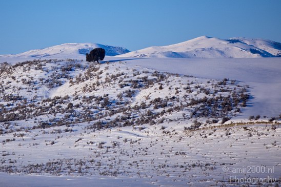 Landscape_nature_Utah_Idaho_Nevada_USA_winter_scenery_Photography_154_Canon_EOS_5D_Mark_IV.JPG