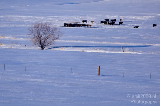 Landscape_nature_Utah_Idaho_Nevada_USA_winter_scenery_Photography_158_Canon_EOS_5D_Mark_IV.JPG