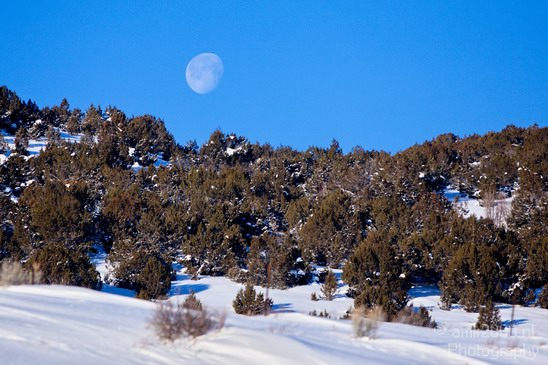 Landscape_nature_Utah_Idaho_Nevada_USA_winter_scenery_Photography_171_Canon_EOS_5D_Mark_IV.JPG