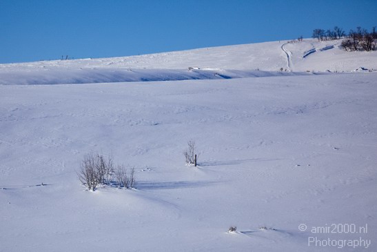 Landscape_nature_Utah_Idaho_Nevada_USA_winter_scenery_Photography_172_Canon_EOS_5D_Mark_IV.JPG