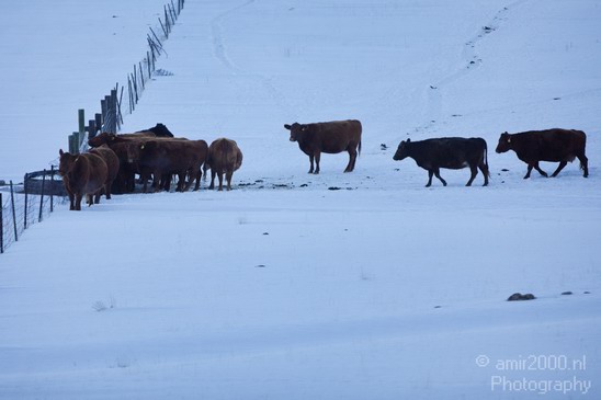 Landscape_nature_Utah_Idaho_Nevada_USA_winter_scenery_Photography_185_Canon_EOS_5D_Mark_IV.JPG