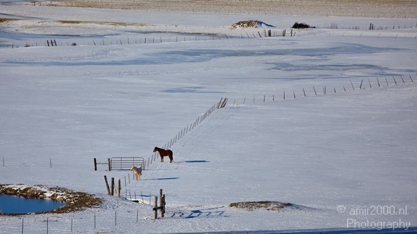 Landscape_nature_Utah_Idaho_Nevada_USA_winter_scenery_Photography_188_Canon_EOS_5D_Mark_IV.JPG