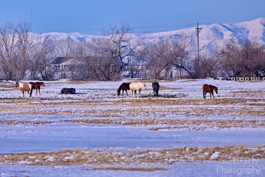 Landscape_nature_Utah_Idaho_Nevada_USA_winter_scenery_Photography_194_Canon_EOS_5D_Mark_IV.JPG