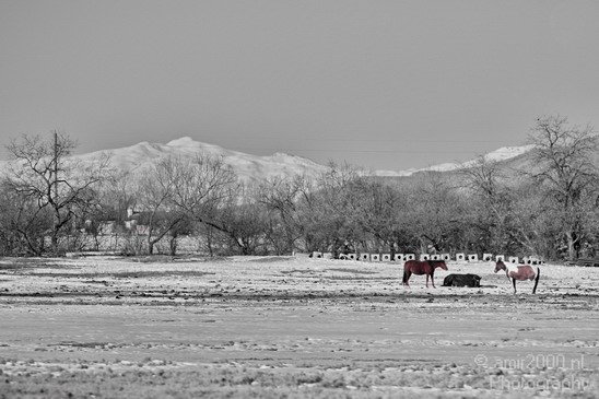 Landscape_nature_Utah_Idaho_Nevada_USA_winter_scenery_Photography_195_Canon_EOS_5D_Mark_IV.JPG