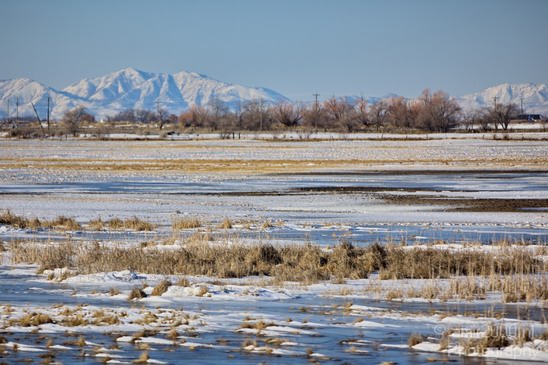 Landscape_nature_Utah_Idaho_Nevada_USA_winter_scenery_Photography_197_Canon_EOS_5D_Mark_IV.JPG