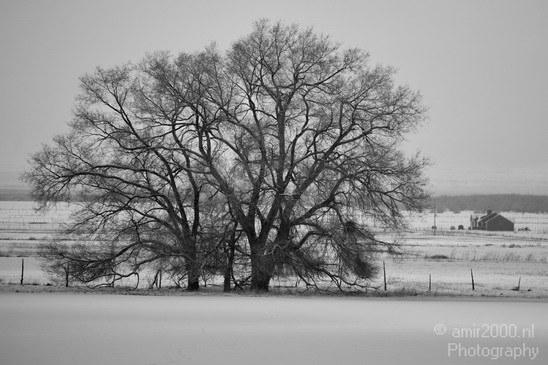 Landscape_nature_Utah_Idaho_Nevada_USA_winter_scenery_Photography_228_Canon_EOS_5D_Mark_IV.JPG