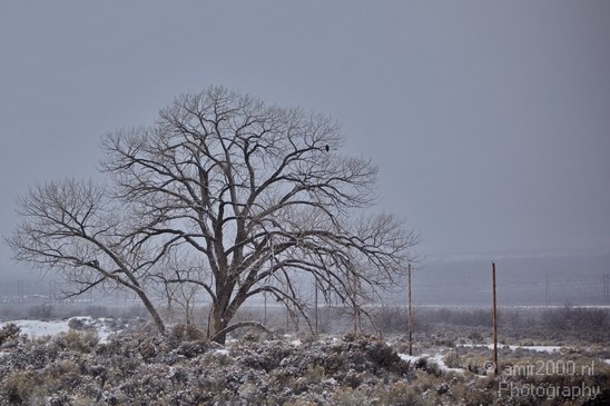 Landscape_nature_Utah_Idaho_Nevada_USA_winter_scenery_Photography_240_Canon_EOS_5D_Mark_IV.JPG
