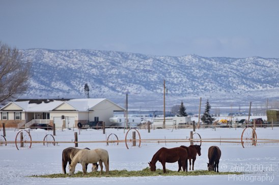 Landscape_nature_Utah_Idaho_Nevada_USA_winter_scenery_Photography_245_Canon_EOS_5D_Mark_IV.JPG