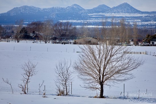 Landscape_nature_Utah_Idaho_Nevada_USA_winter_scenery_Photography_248_Canon_EOS_5D_Mark_IV.JPG