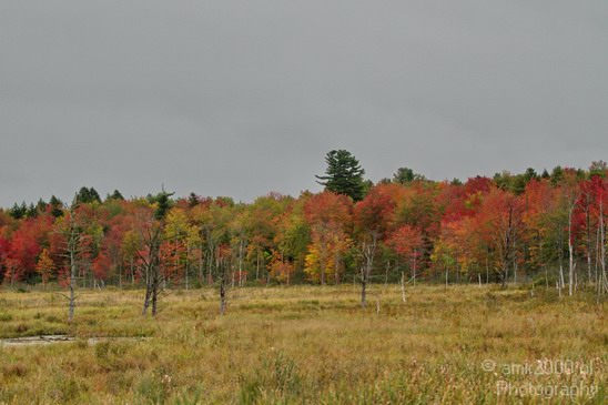 Maine_New_England_USA_Nature_Landscape_Fall_Photography_001_Canon_EOS_7D.JPG