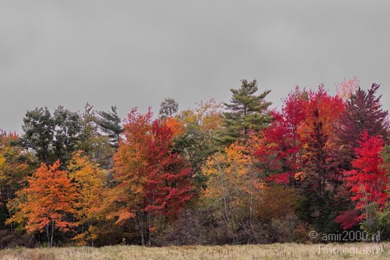 Maine_New_England_USA_Nature_Landscape_Fall_Photography_004_Canon_EOS_7D.JPG