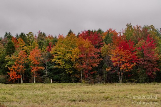 Maine_New_England_USA_Nature_Landscape_Fall_Photography_005_Canon_EOS_7D.JPG