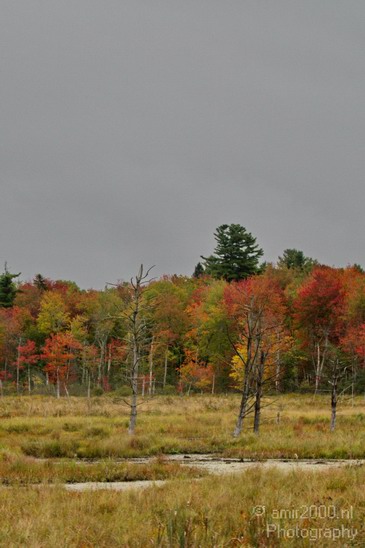 Maine_New_England_USA_Nature_Landscape_Fall_Photography_007_Canon_EOS_7D.JPG