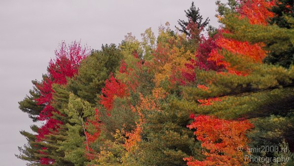 Maine_New_England_USA_Nature_Landscape_Fall_Photography_013_Canon_EOS_7D.JPG