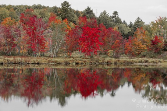 Maine_New_England_USA_Nature_Landscape_Fall_Photography_020_Canon_EOS_7D.JPG