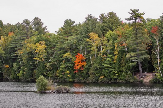 Maine_New_England_USA_Nature_Landscape_Fall_Photography_030_Canon_EOS_7D.JPG