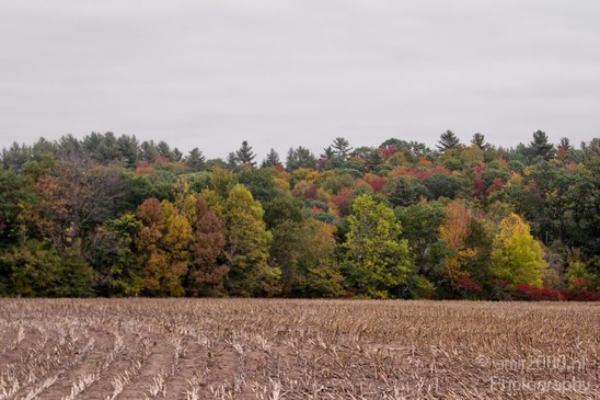 Maine_New_England_USA_Nature_Landscape_Fall_Photography_031_Canon_EOS_7D.JPG