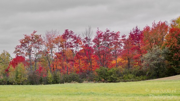 Maine_New_England_USA_Nature_Landscape_Fall_Photography_034_Canon_EOS_7D.JPG