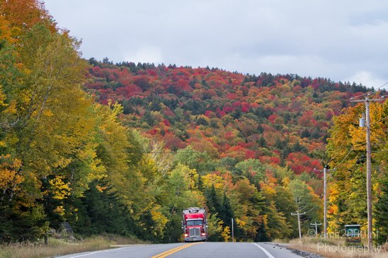 Maine_New_England_USA_Nature_Landscape_Fall_Photography_047_Canon_EOS_7D.JPG