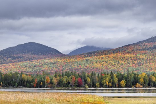 Maine_New_England_USA_Nature_Landscape_Fall_Photography_051_Canon_EOS_7D.JPG