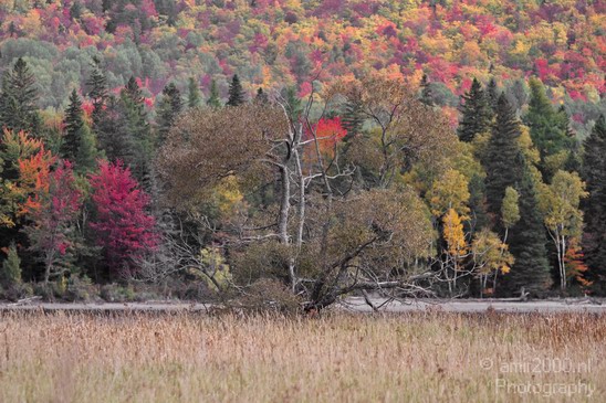 Maine_New_England_USA_Nature_Landscape_Fall_Photography_054_Canon_EOS_7D.JPG