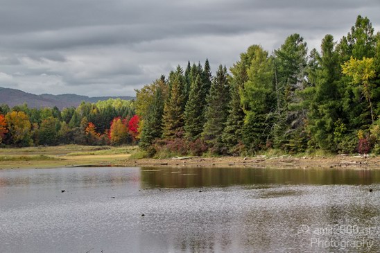 Maine_New_England_USA_Nature_Landscape_Fall_Photography_057_Canon_EOS_7D.JPG