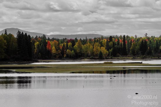 Maine_New_England_USA_Nature_Landscape_Fall_Photography_058_Canon_EOS_7D.JPG
