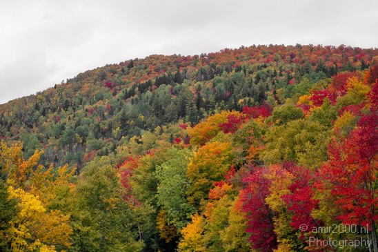 Maine_New_England_USA_Nature_Landscape_Fall_Photography_063_Canon_EOS_7D.JPG