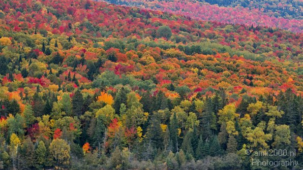 Maine_New_England_USA_Nature_Landscape_Fall_Photography_066_Canon_EOS_7D.JPG